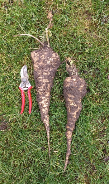 20250203 113536 20250203 113536