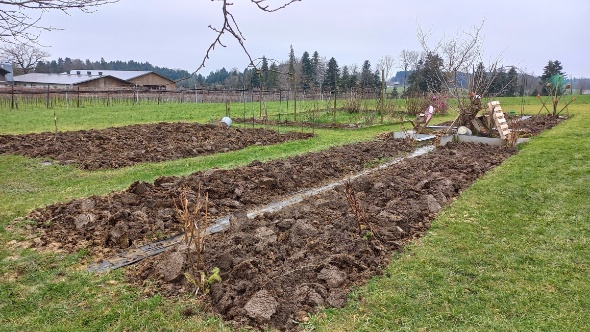 20250203 113809 20250203 113809