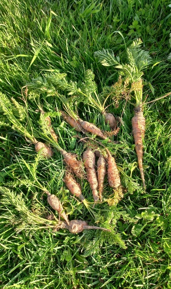 20250405 182809 20250405 182809