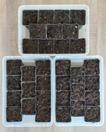 20250406 182654 20250406 182654