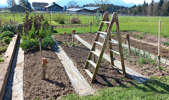 20250407 112427 20250407 112427