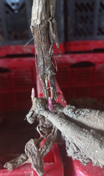 20250414 093458 20250414 093458