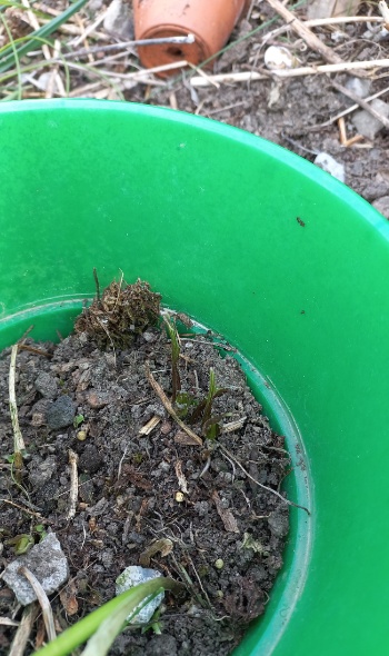 20250422 174043 20250422 174043