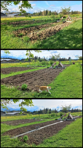 PhotoCollage 1745338733119 PhotoCollage 1745338733119