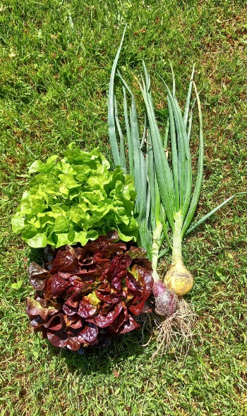 20250511 105222 20250511 105222