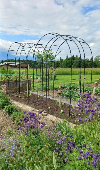 20250512 102441 20250512 102441