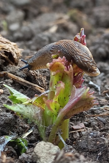 20250513 081603 20250513 081603