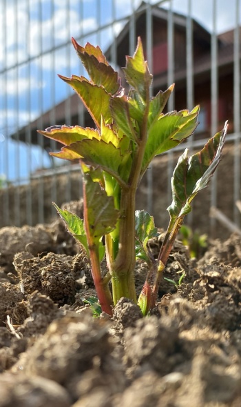 20250517 172357 20250517 172357