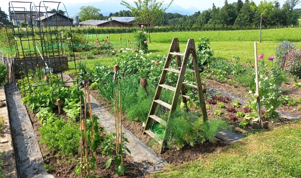 20250609 102345 20250609 102345