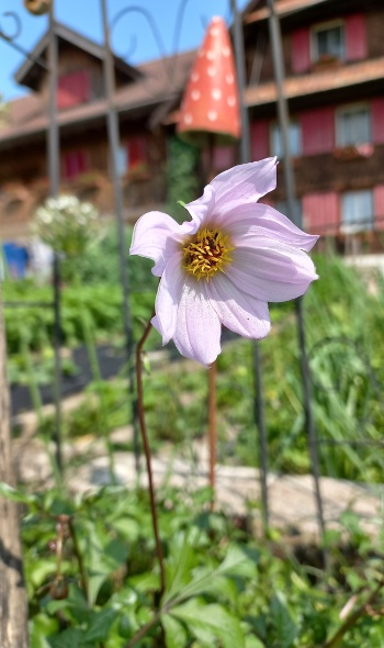 20250609 105142 20250609 105142