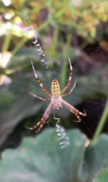 20250630 102719 20250630 102719