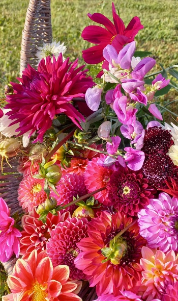 20250706 071825 20250706 071825