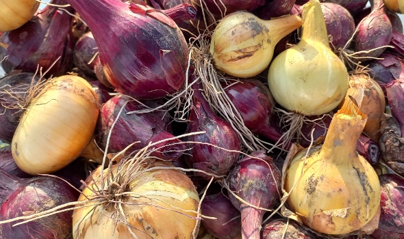 20250714 193958 20250714 193958