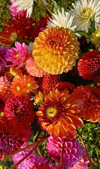 20250718 070015 20250718 070015