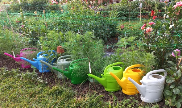 20250719 185727 20250719 185727