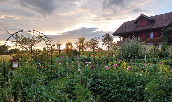 20250725 203916 20250725 203916