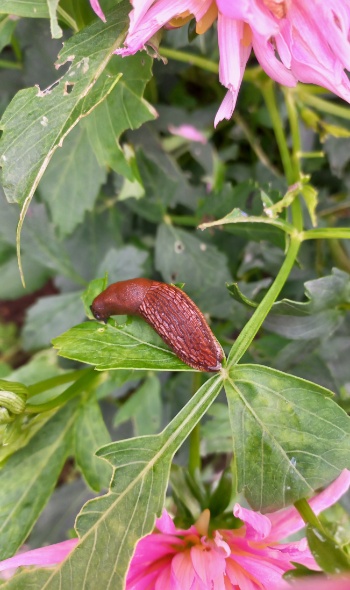 20250730 195204 20250730 195204