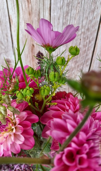 20250731 130130 20250731 130130