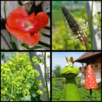 503392693 1213559863900882 1727878637242641784 n 503392693 1213559863900882 1727878637242641784 n