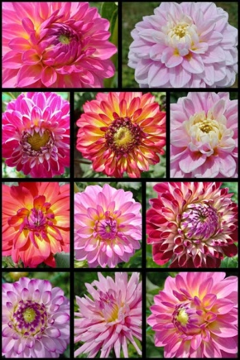 517800234 1242340981022770 5322344511089883808 n 517800234 1242340981022770 5322344511089883808 n