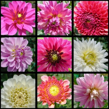 517807804 1242341011022767 892226227087258291 n