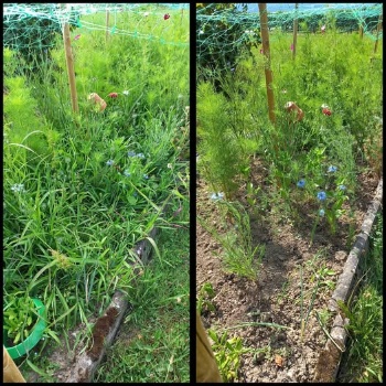 518177946 1245937410663127 2062618119918437159 n 518177946 1245937410663127 2062618119918437159 n