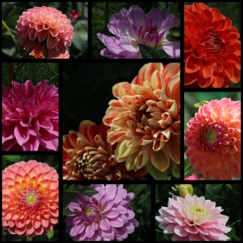 528090275 1263243495599185 3168940545146081355 n