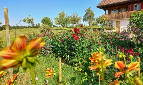 530773751 1267695171820684 403963617831091688 n 530773751 1267695171820684 403963617831091688 n