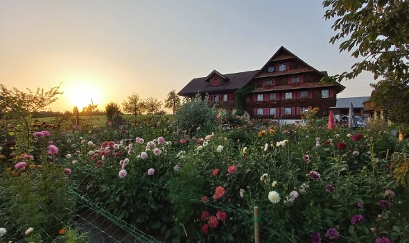 531625888 1270415701548631 2546056532396247018 n 531625888 1270415701548631 2546056532396247018 n