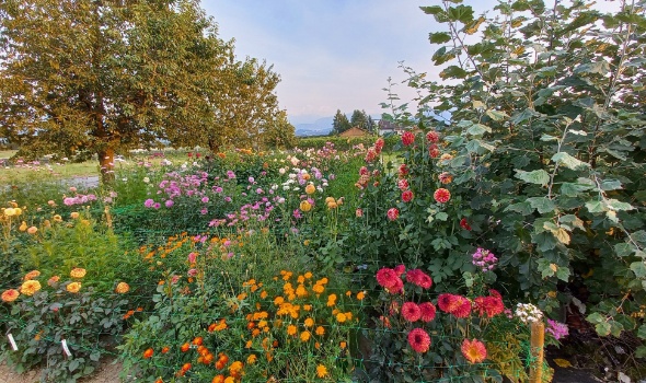 533659471 1272092118047656 787181244144448115 n