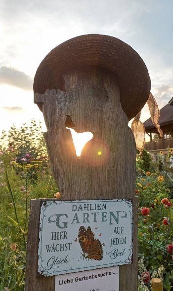 534344076 1272091921381009 2881930885312862151 n