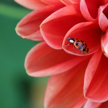 535304579 1273318211258380 3482505266977099108 n 535304579 1273318211258380 3482505266977099108 n