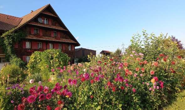 536286114 1279388677318000 6457755207700755245 n 536286114 1279388677318000 6457755207700755245 n