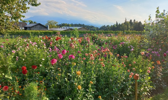 538112821 1279388467318021 806001082123839746 n