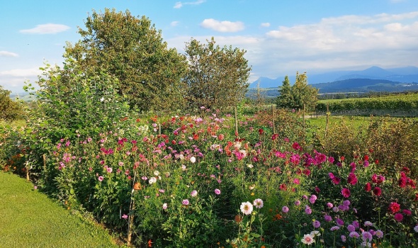 538204695 1279388360651365 1406694253112402739 n