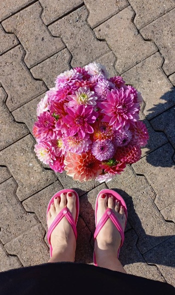 539843600 1280901857166682 3973513478219285281 n 539843600 1280901857166682 3973513478219285281 n