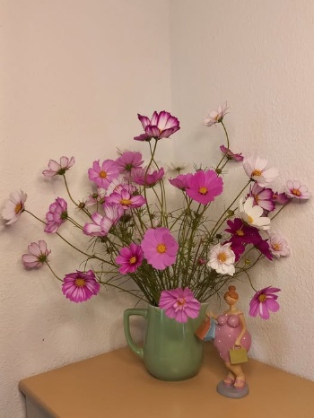 540962305 1285624023361132 6486383800672894163 n 540962305 1285624023361132 6486383800672894163 n