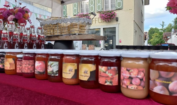 541317870 1283788763544658 6927439471578129492 n