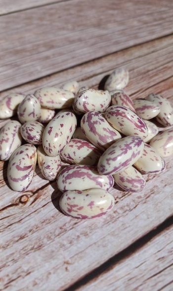 541345530 1284797690110432 2516486873766084795 n