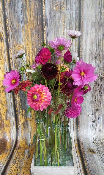 542751008 1286306189959582 4377665384599255776 n 542751008 1286306189959582 4377665384599255776 n