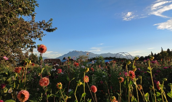 542764713 1287727403150794 5737676015882833604 n 542764713 1287727403150794 5737676015882833604 n