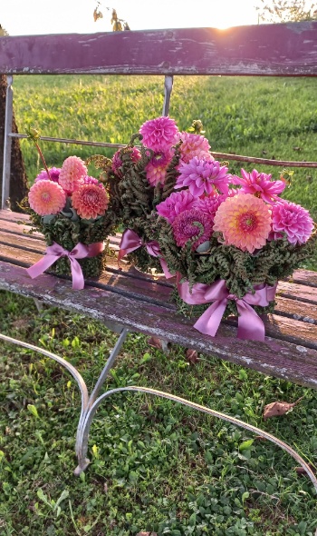 544619299 1289934969596704 1220813272989120824 n