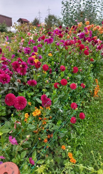 552150202 1303201574936710 6187151018868895870 n 552150202 1303201574936710 6187151018868895870 n