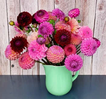 552509738 1304189341504600 7625364697843024898 n 552509738 1304189341504600 7625364697843024898 n