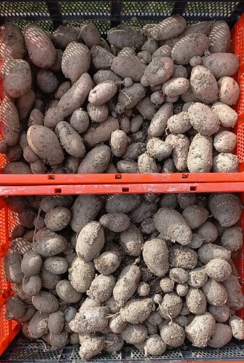 556814702 1308326371090897 1927151094604458525 n 556814702 1308326371090897 1927151094604458525 n