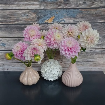 557627268 1310188714237996 7648174268311816776 n 557627268 1310188714237996 7648174268311816776 n