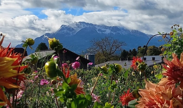 557653819 1313399770583557 5047505824690160264 n 557653819 1313399770583557 5047505824690160264 n