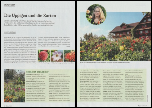 PhotoCollage 1759814757708 PhotoCollage 1759814757708