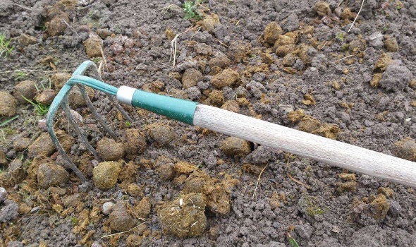 15622541 1549545848405920 3318933406343353559 n 15622541 1549545848405920 3318933406343353559 n