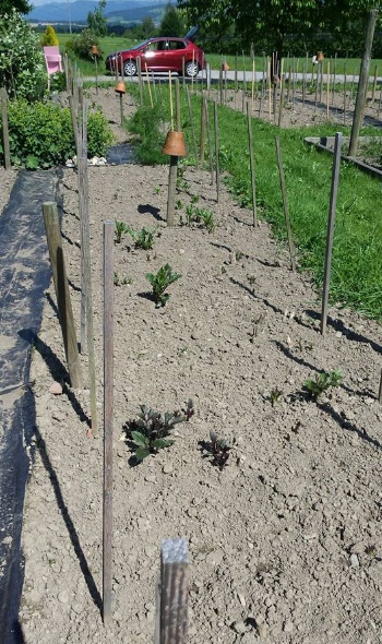 18582155 1728734710487032 7250032156144191114 n 1 18582155 1728734710487032 7250032156144191114 n 1